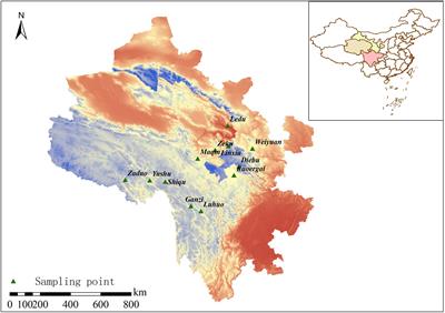 Structural characteristics and diversity of the rhizosphere bacterial communities of wild Fritillaria przewalskii Maxim. in the northeastern Tibetan Plateau